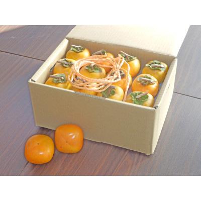 ふるさと納税 高野町 吊るし柿用 生渋柿 ひもセット【 T字軸枝付 or吊るしクリップ付】 約20〜30果、4.5〜5kg |  | 03