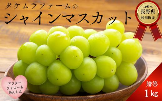 
            TK09-25A ぶどう シャインマスカット 約1kg／2025年9月中旬頃～配送予定 // 長野県 松川町産 南信州 葡萄 シャイン マスカット 種なし 高品質 2～3房 高糖度 
          