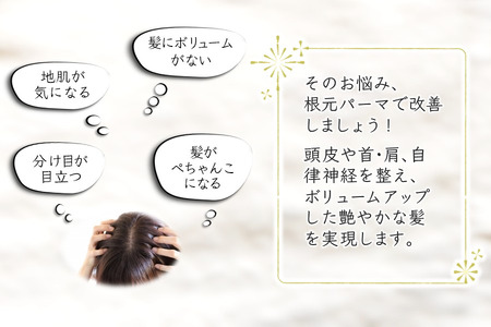 【お悩み改善】ボリュームアップコース ご利用券 カット プリカール（根元パーマ） 頭皮の整体ヘッドスパ 高濃度酸素水 所要時間 120分 髪質改善 ヘッドスパ プリカール ヘアカット ヘアケア 自律神