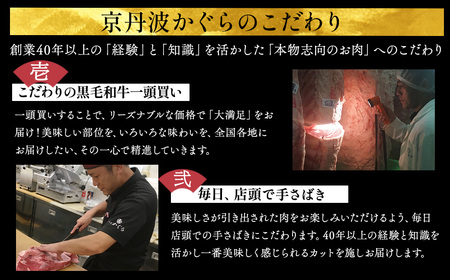 【6回定期便】牛肉 京丹波姫牛 お楽しみセット【計2.71kg】 牛肉