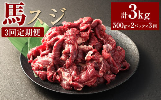 【3ヶ月定期便】 馬スジ1kg（500g×2パック） 合計3kg 馬肉 お肉 煮込み