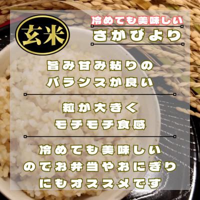 ふるさと納税 鳥栖市 【毎月定期便】【玄米】さがびより玄米5kg(鳥栖市)全6回 |  | 01