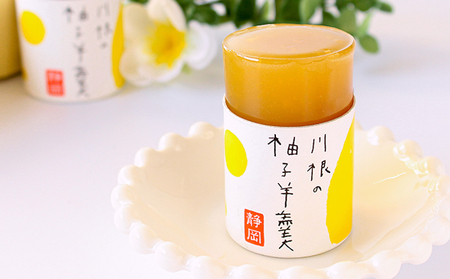 和菓子 羊羹 5個 袋入り 5種 箱入り スイーツ ようかん 和菓子
