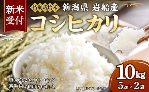 【新米受付・令和7年産米】特別栽培米 新潟県村上市岩船産コシヒカリ 10kg 1029004N