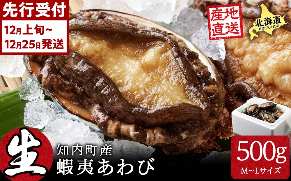 
                  〈2026年12月発送予約〉北海道 知内産　天然活あわび約500g（M～L詰め合わせ）≪上磯漁業協同組合≫
                