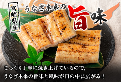 「こだま鰻」宮崎県産 うなぎ白焼き（2～3尾）計500g以上 国産 真空パック【C418‐24】