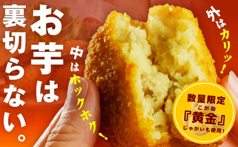 こだわりの国産素材 手作りコロッケ 合計10個【黄金 無添加 国産 惣菜 おやつ おつまみ お弁当 三代目コロッケ】 G3436