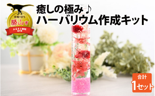 癒しの極み♪ハーバリウム作成キット│ハーバリウム作成キット 初心者向け 手作り インテリア雑貨 ピンク系 ギフト プレゼント おうち時間 癒しフラワー [A-037004]