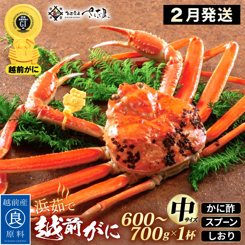 【ふるさと納税】浜茹で 越前がに 中サイズ（生で600〜700g） × 1杯 かに酢 食べ方しおり スプーン付き【2月発送分】【かに カニ 蟹 ズワイガニ ずわいがに 姿 ボイル 福井県 冷蔵】希望日指定可 備考欄に希望日をご記入ください [e04-x029_02]