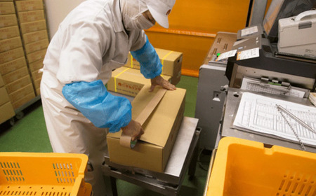 豚肉 国産 味噌漬け 西京漬け 1.5kg 食べ比べ  冷凍 ロース こま切れ