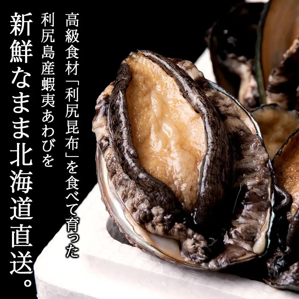 【2026年発送予約】北海道 利尻島産 直送！利尻あわび 天然 生えぞあわび１kg 鮑 海鮮 冷蔵 お刺身 魚介 お祝い 鮑 活き 天然【福士水産】
