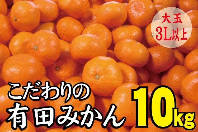 
            【農家直送】有田みかん　約10kg  大玉3L以上　有機質肥料100% 先行予約 ※2024年12月初旬～2025年1月中旬に順次発送(お届け日指定不可)【nuk139D】
          