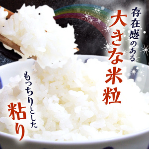 BB6223_ 和歌山県産 にじのきらめき 20kg(5kg×4)（2025年産)