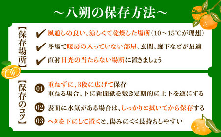 八朔 2kg 小玉 江田島市産 ハッサク はっさく 広島 みかん ミカン 柑橘 柑橘類 果物 くだもの フルーツ 家庭用 濃厚 デザート 旬 国産 ハルテラス農園/江田島市[XCX001]
