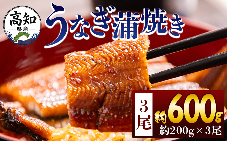 高知県産蒲焼きうなぎ ２００ｇ ３尾 計６００ｇ fb-0160
