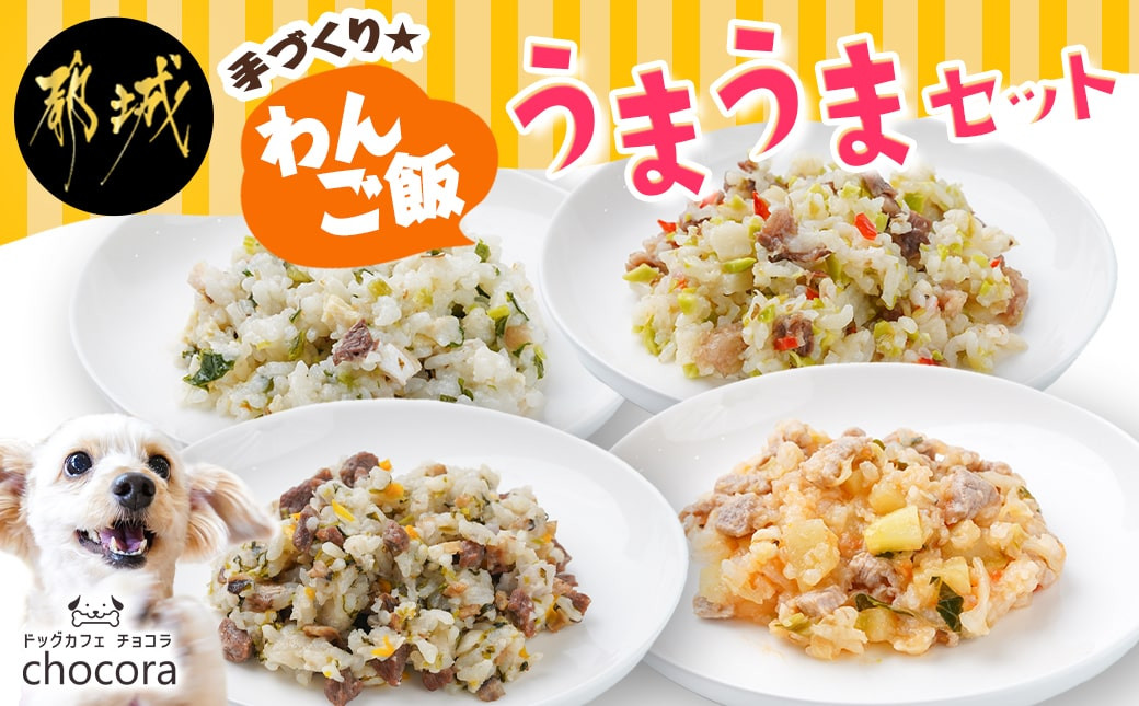 
手づくり☆わんご飯『うまうまセット』_12-J501_(都城市) 犬用 手づくりご飯 ぶり大根 馬肉ッパ 牛しぐれ 豚肉ポトフ ドッグフード ペットフード
