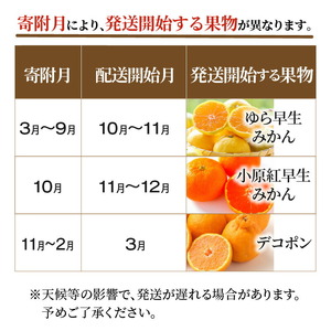 産地厳選三豊のフルーツ３回定期便　W_M64-0062