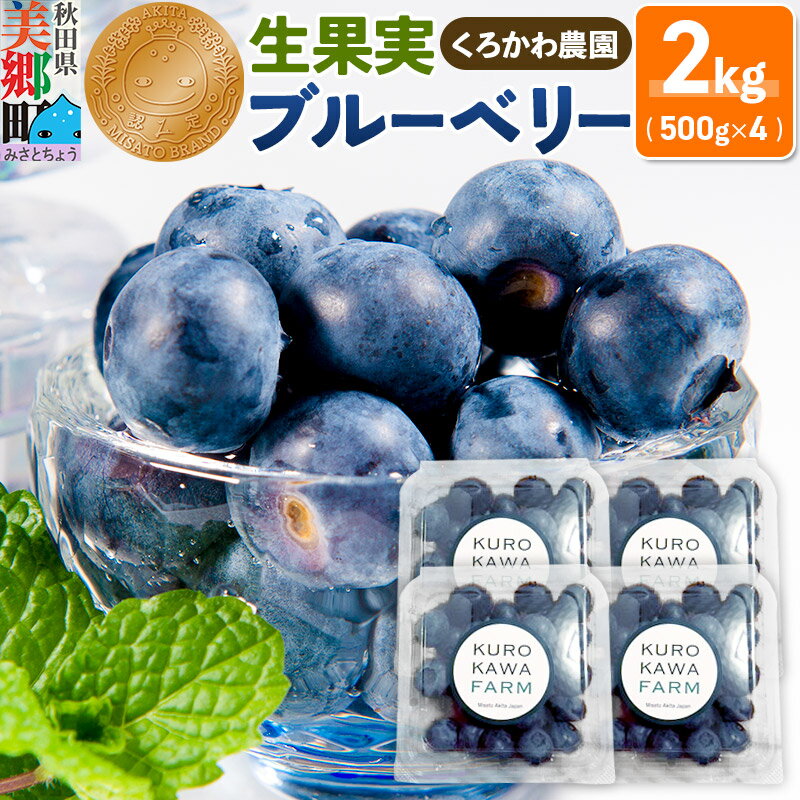 【ふるさと納税】くろかわ農園 ブルーベリー 2kg（500g×4パック）摘みたて 秋田県美郷町