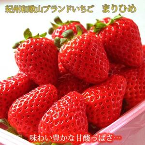 【発送月固定定期便】紀州和歌山産旬のフルーツセット(田村みかん・まりひめ・紀州デコ)全3回【配送不可地域：離島・北海道・沖縄県】【4052590】