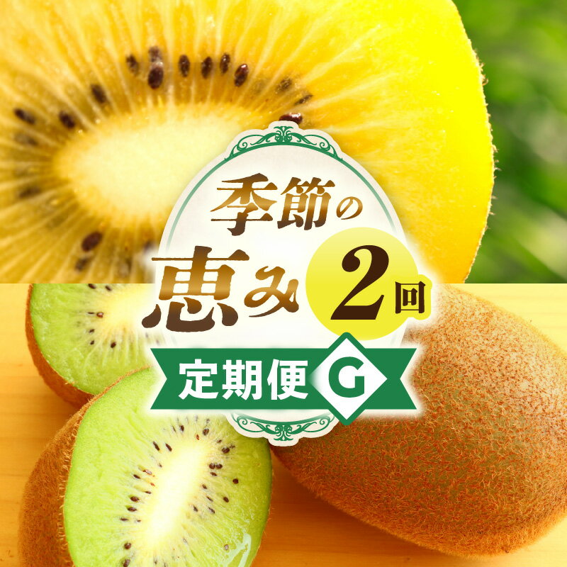 【ふるさと納税】季節の恵み2回定期便G 果物 フルーツ 定期便 フルーツ定期便 果物定期便 旬 旬の果物 旬のフルーツ 旬の定期便 果実 果汁 デザート スイーツ キウイ キウイフルーツ ゴールドキウイ 厳選 贈り物 贈答 ギフト ご褒美 香川県 三木町 レビューキャンペーン