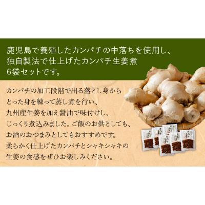 ふるさと納税 南九州市 カンパチ生姜煮6袋セット |  | 01