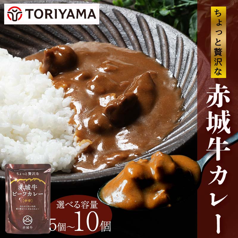 【ふるさと納税】 【選べる容量】ちょっと贅沢なビーフカレー 5個セット 10個セット F4H-0472var