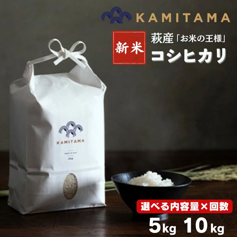 【ふるさと納税】令和8年度産 新米 コシヒカリ 5kg～10kg コメ こめ 萩産 KAMITAMA