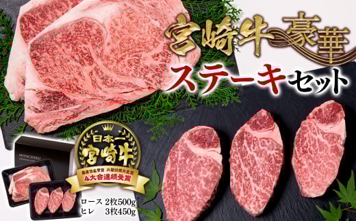 【11月発送】宮崎牛ロースステーキ＆ヒレステーキ ブランド牛豪華ステーキセット食べ比べ 牛肉 ステーキ ミヤチク 内閣総理大臣賞4連覇＜6-3＞【10月1日より寄附金額見直し】