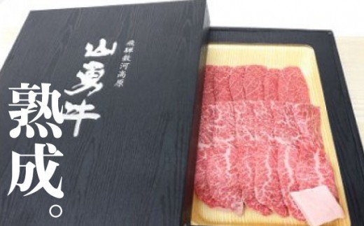 飛騨牛　熟成肉「山勇牛」おまかせ３種盛り合せ３０日以上熟成