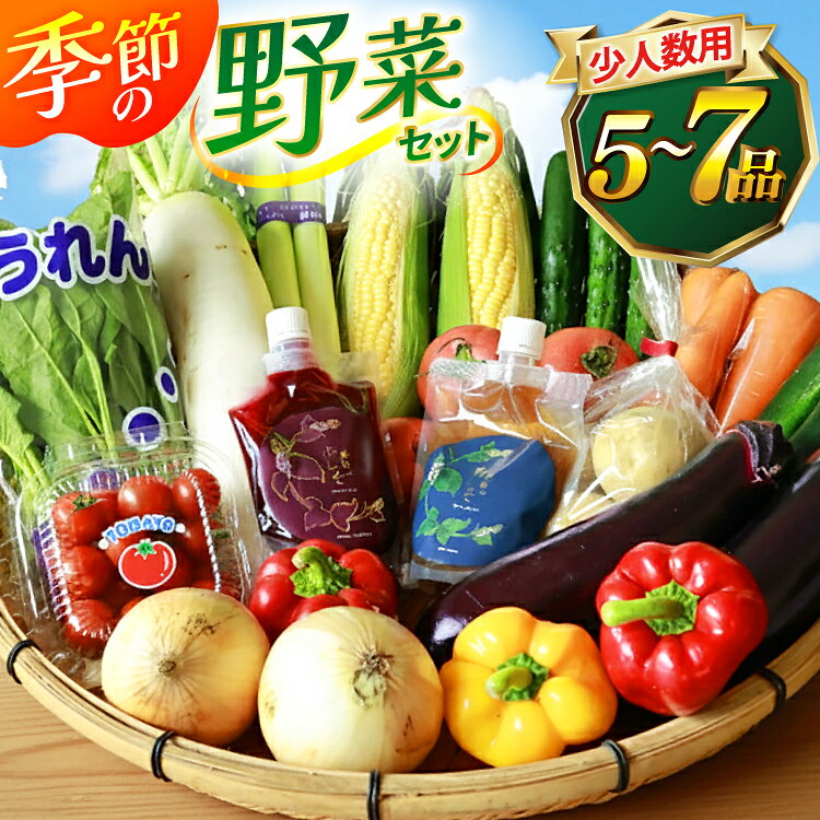 【ふるさと納税】 BJ313 野菜セット 5〜7品目 しそジュース付き [ 野菜 詰め合わせ 少人数用 一人暮らし 二人暮らし シソジュース 紫蘇ジュース 長崎県 島原市 ]