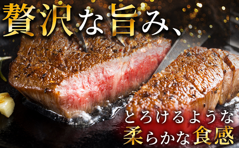＜宮崎牛ヒレステーキ 360g＞ 3枚 霜降り やわらかい サシ 赤身と脂のバランス 牛肉 精肉 希少部位 ステーキ 肉料理 ご馳走 国産 高級 ブランド牛肉 黒毛和牛 数量限定【MI767-my】【