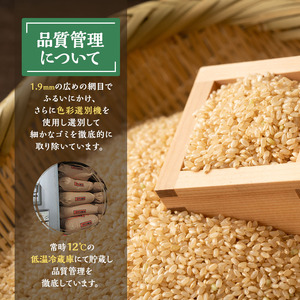 【新米先行予約】玄米 令和7年 秋田県産 あきたこまち 10kg (5kg×2袋) 新米 米 お米 おこめ こめ コメ 令和7年産 ブランド米 ご飯 秋田 秋田県 能代市