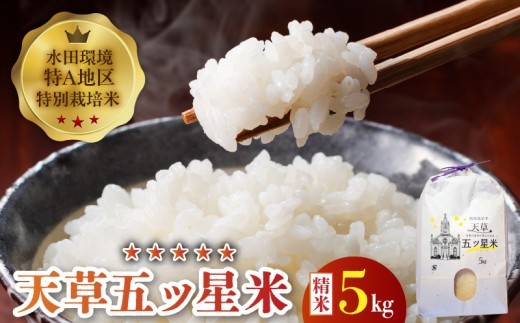 S061-009_令和8年産 特別栽培米 天草五ッ星米 精米 5kg【先行受付】