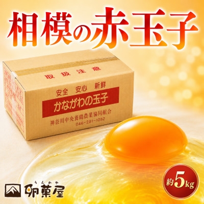 
                  相模の赤玉子約5kg　75個+割れ保証5個　～ 神奈川県 愛川町 ～【1745588】
                
