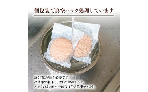 12ヶ月定期便 四万十ポーク入りハンバーグ 2.4kg(200g×12個) 冷凍 真空 小分け 個包装 肉汁たっぷり ハンバーグ 大容量 ハンバーグ 合挽き ハンバーグ 牛肉 ハンバーグ 豚肉 ハンバ