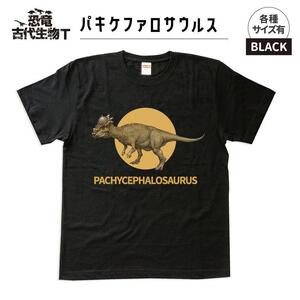 恐竜・古代生物Tシャツ　パキケファロサウルス 036　サイズＸＸＬ（レギュラー）