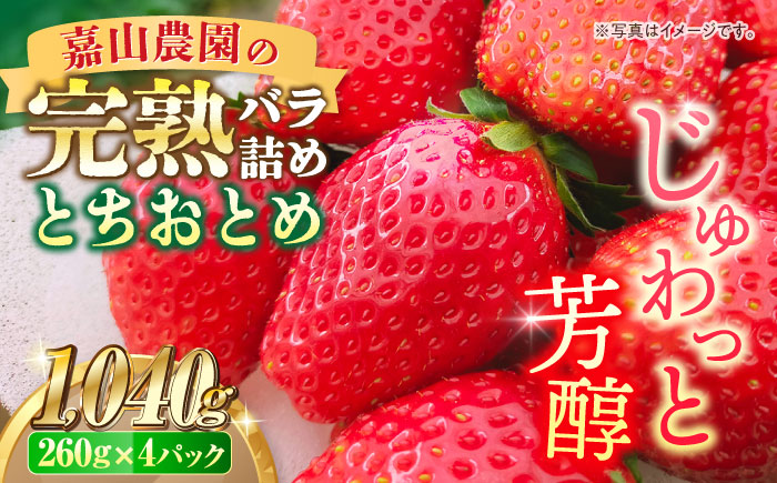 【先行予約】【数量限定】嘉山農園の完熟バラ詰めいちご とちおとめ（260g×4パック）【いちごはうす嘉山農園】 [AKCO002]