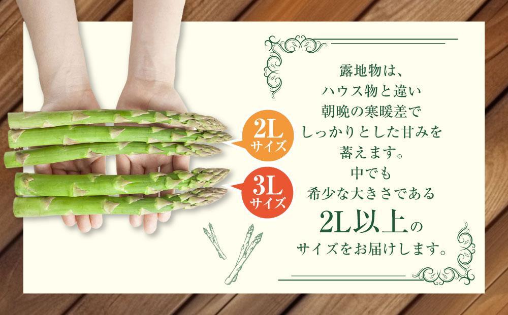【2026年先行予約】露地物朝採りアスパラ　鮮度保持フィルム入り　2～3L　600g(5月中旬発送開始予定) 【 アスパラ アスパラガス 朝採り とれたて 野菜 旬 小分け 保存 産直 産地直送 お取