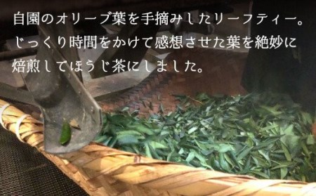 お茶 オリーブ お茶 緑茶 5包3パック お茶 緑茶 ティーバッグ 茶 お茶 緑茶 ほうじ茶 乾燥 お茶 緑茶 飲料 国産 お茶 緑茶