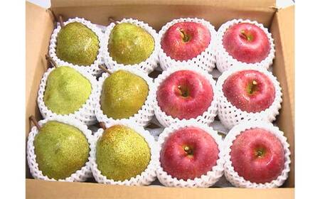 山形県産 サンふじりんごとラ・フランス セット 約3kg 12玉(各6玉) F2Y-5993