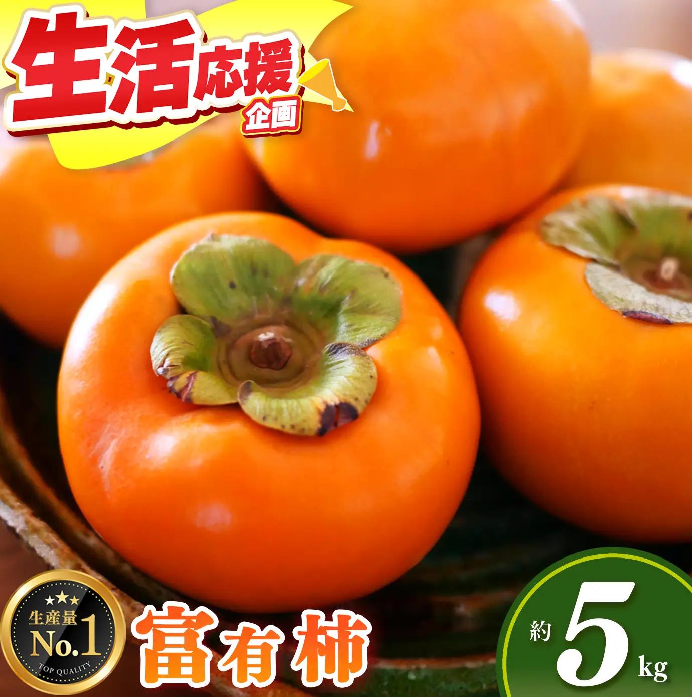  【 先行予約 】 富有柿 約5kg （17～20個） 選べる 内容量 日本野菜ソムリエ協会大賞受賞品 | 富有柿 かき フルーツ 柿 かき 果物 先行 予約 日本 野菜 ソムリエ 協会 大賞 受賞 品 奈良県 五條市