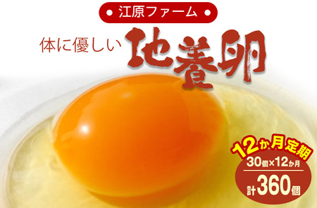 【定期便12か月】江原ファーム　体に優しい地養卵（30個） _AG15
