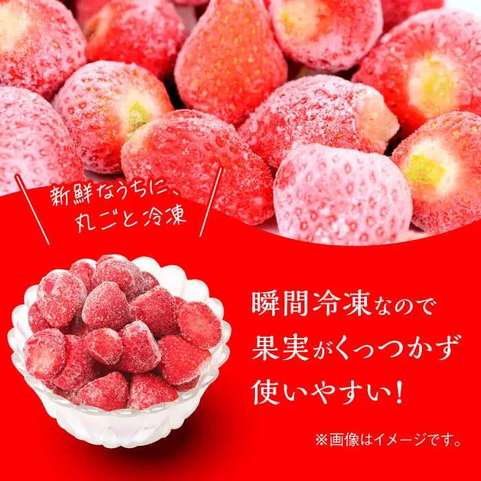 いちご あまおう 約 500g × 4袋 [ABDG007] 果物 あまおう