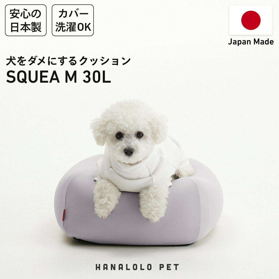 【ふるさと納税】 クッション ビーズクッション ハナロロ ペットクッション Sカバー付 30L アッシュグレー [タキコウ縫製 愛知県 岡崎市 ok23bzx360108] インテリア 家具 椅子 いす イス ビーズ カバー 雑貨 ナチュラル