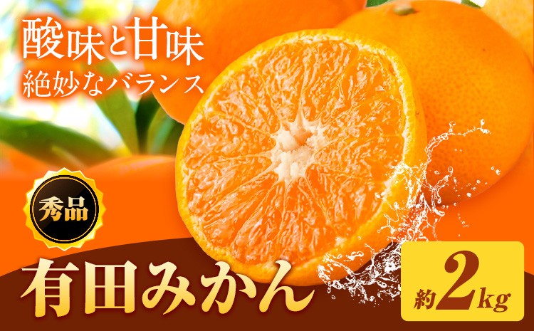 
            【先行予約】秀品 有田みかん 約2kg 株式会社魚鶴商店《2025年11月下旬-2025年12月下旬頃出荷》和歌山県 日高川町 有田みかん ミカン 蜜柑 フルーツ 柑橘
          