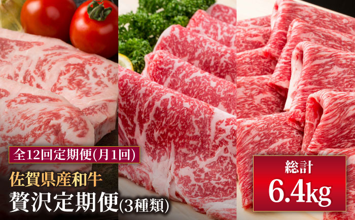 
            【肉のプロが厳選！】【12回定期便】佐賀県産和牛 贅沢 定期便【株式会社いろは精肉店】佐賀産和牛 牛肉 国産 肉 和牛 セット 冷凍 九州 [IAG070]
          