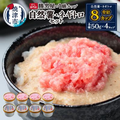 ふるさと納税 焼津市 だし専門店「勝男屋」の一膳とろトロ 自然薯・ネギトロセット(a12-224)