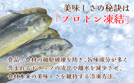 【焼くだけの簡単調理】地元の漬け魚 4種セット| 海鮮 冷凍食品 お惣菜