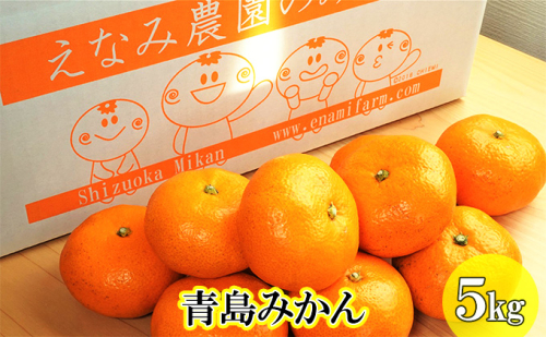 【2025年12月下旬以降順次発送】えなみ農園の青島みかん　5kg（L～2Lサイズ） 果物類 柑橘類 フルーツ ミカン