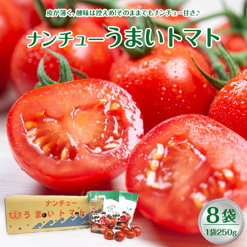 【ふるさと納税】1013.【先行予約】【JA】ナンチューうまいトマト（中玉トマト）　A・250g×8袋　※着日指定不可　※離島への配送不可　※2026年9月上旬頃～10月末頃に順次発送予定 | トマト とまと ミニトマト プチトマト 先行予約 野菜 新鮮 健康 おすすめ 人気